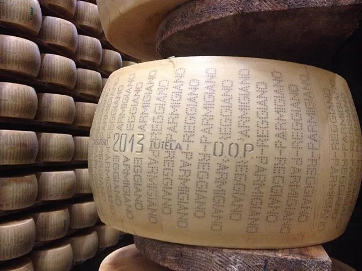 A wheel of aged Parmigiano cheese