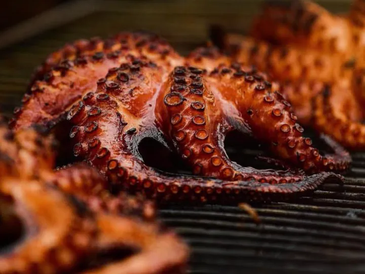 Grilled octopus